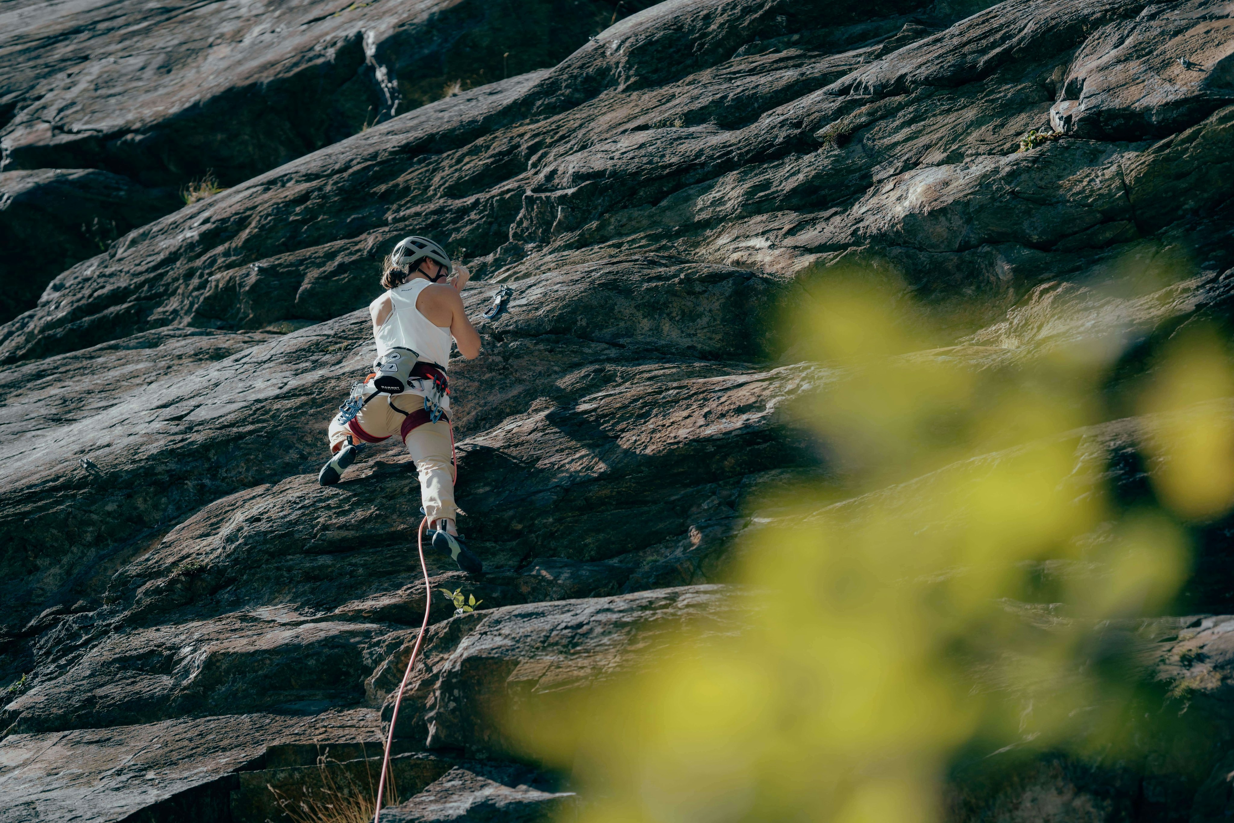 Person rock climbing with Mammut gear, secured by a rope, on a rocky surface with vibrant yellow foliage in the foreground.