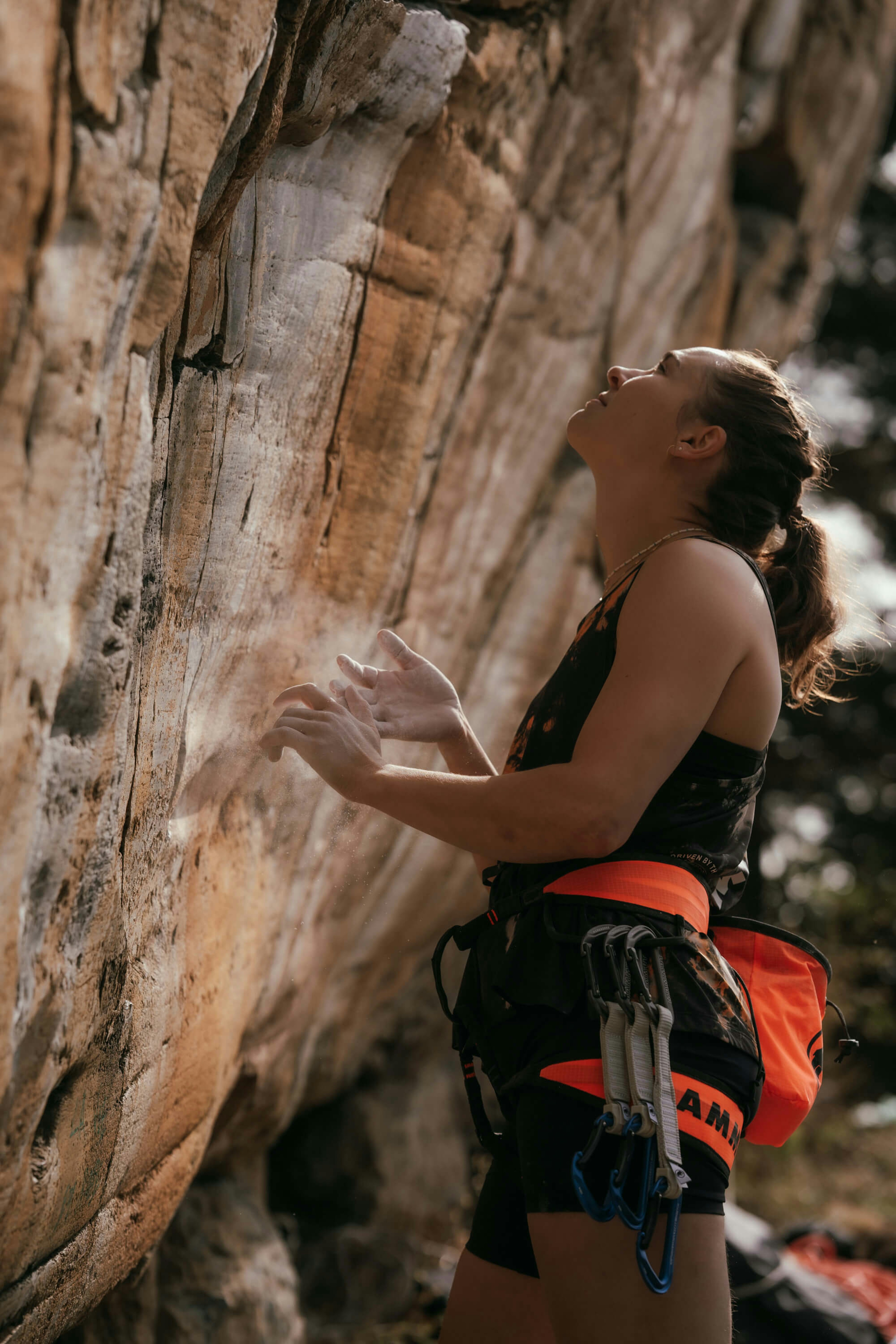 A woman equipped with Mammut climbing gear and chalked hands focuses intently on a challenging rock face during an outdoor climbing session.