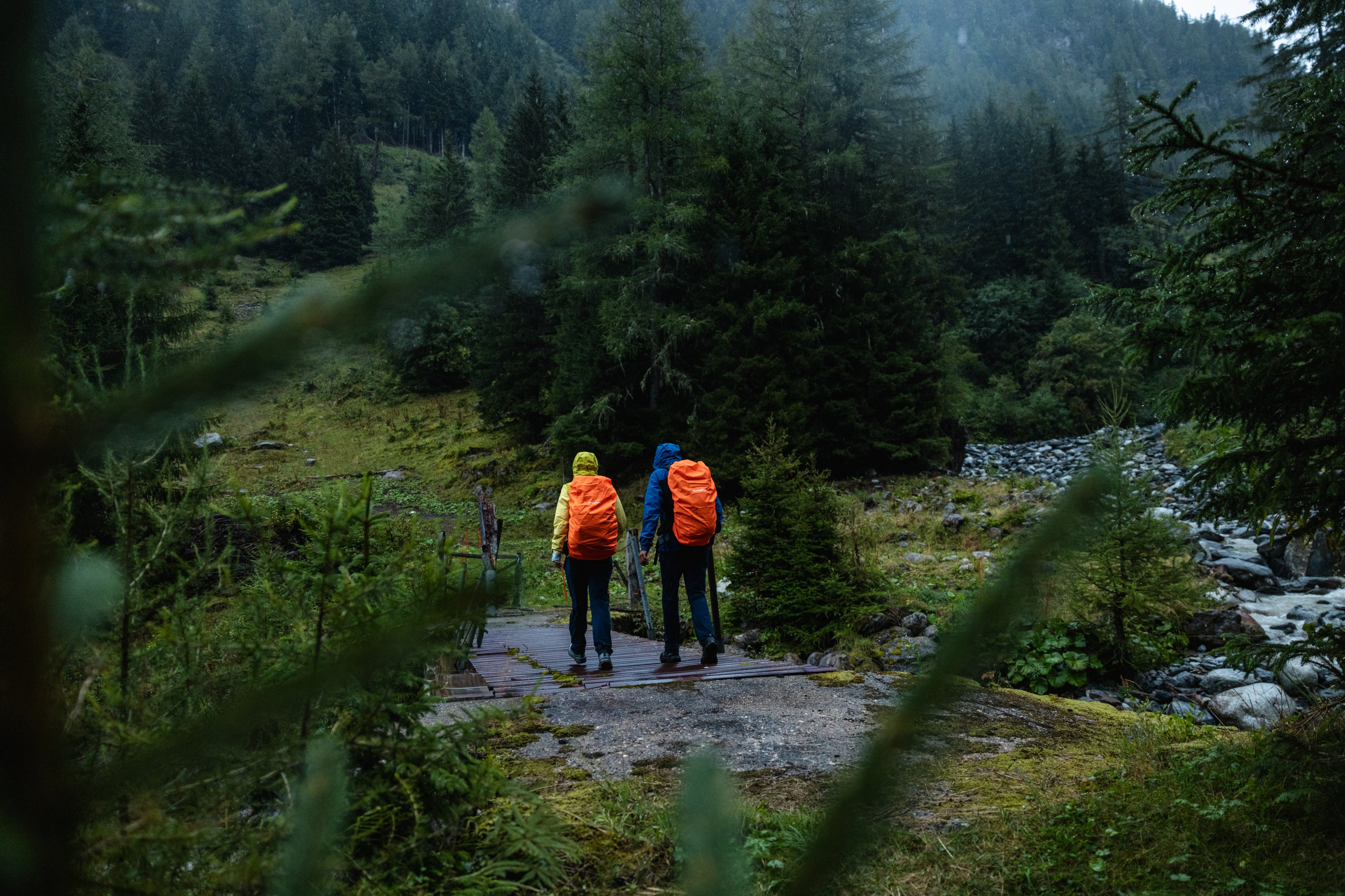Two hikers with orange Mammut backpacks walk on a lush forest trail beside a stream, surrounded by trees and greenery.