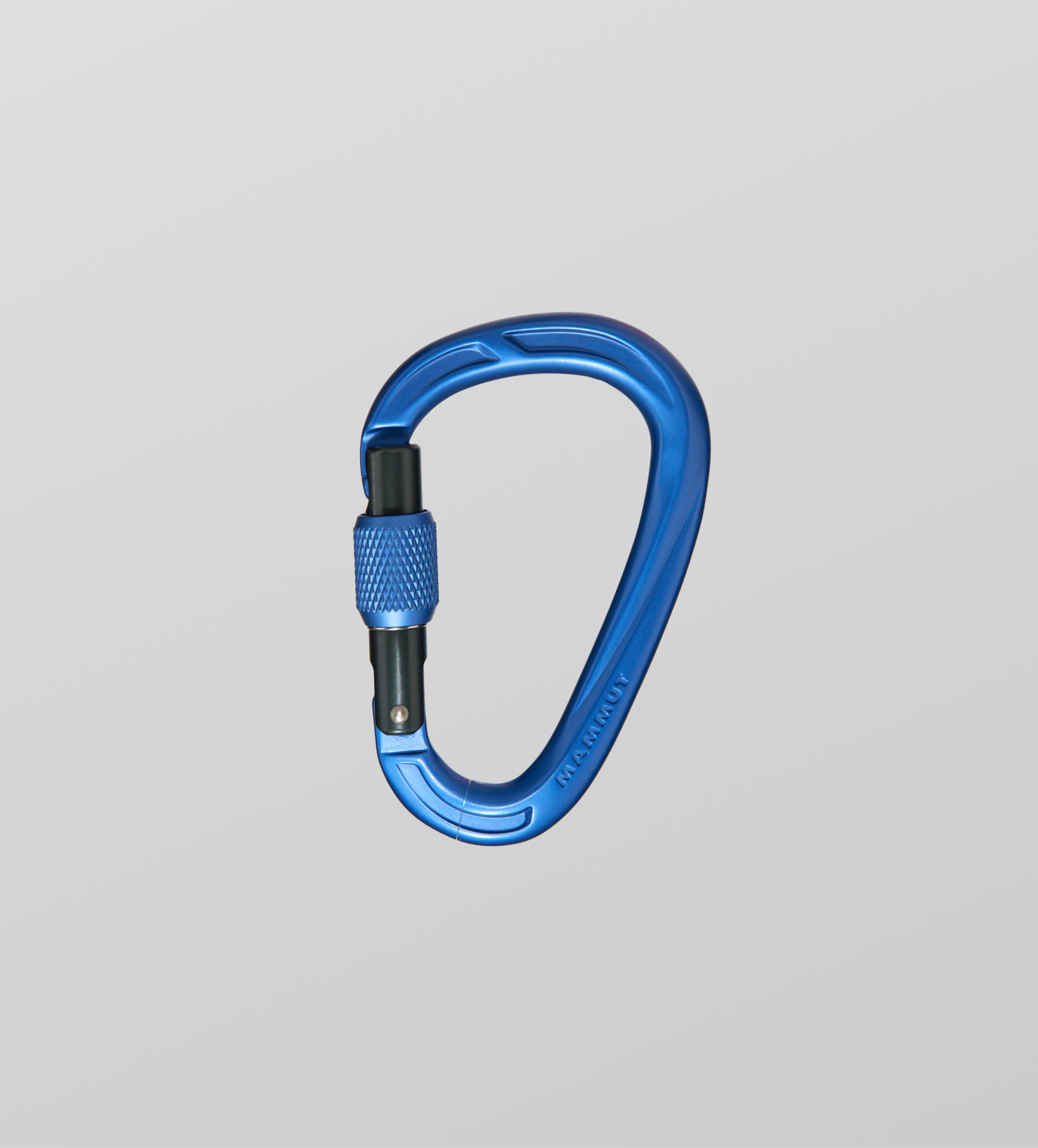 Blue carabiner